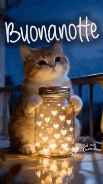 Buonanotte Immagini Nuove​ 17