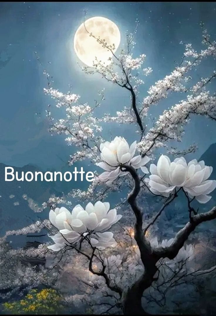 Buonanotte Immagini Nuove​ 56
