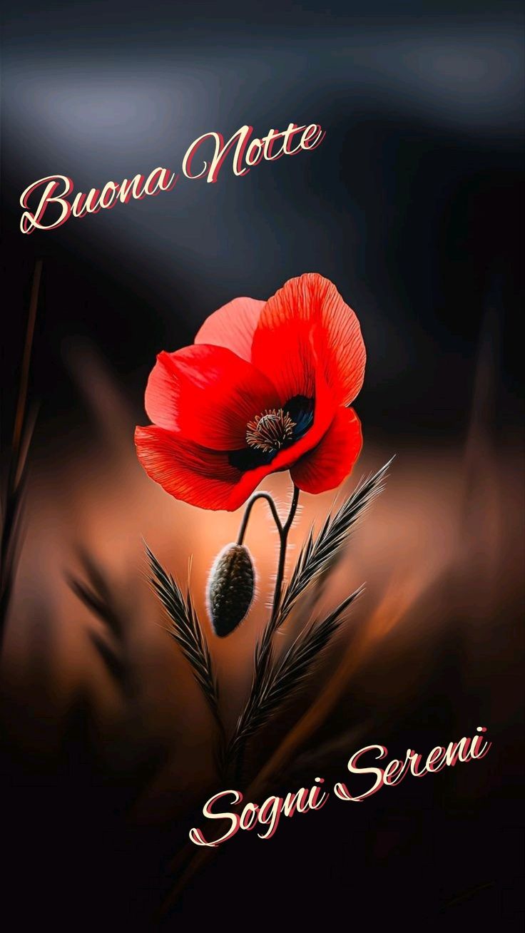 Buonanotte Immagini Nuove​ 88