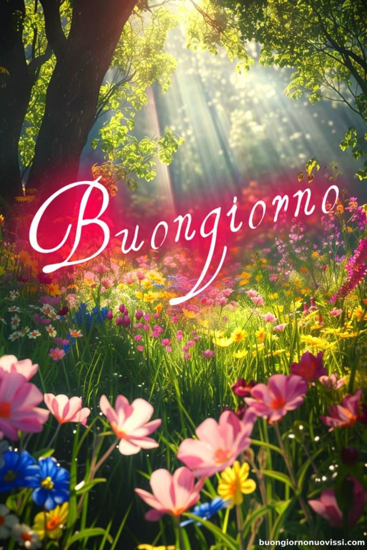 Buongiorno Immagini Nuove​ 105