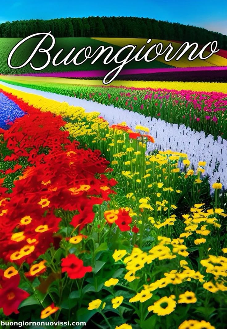 Buongiorno Immagini Nuove​ 126