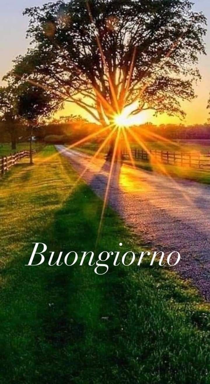 Buongiorno Immagini Nuove​ 132