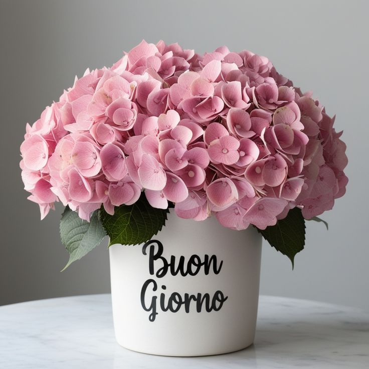 Buongiorno Immagini Nuove​ 147