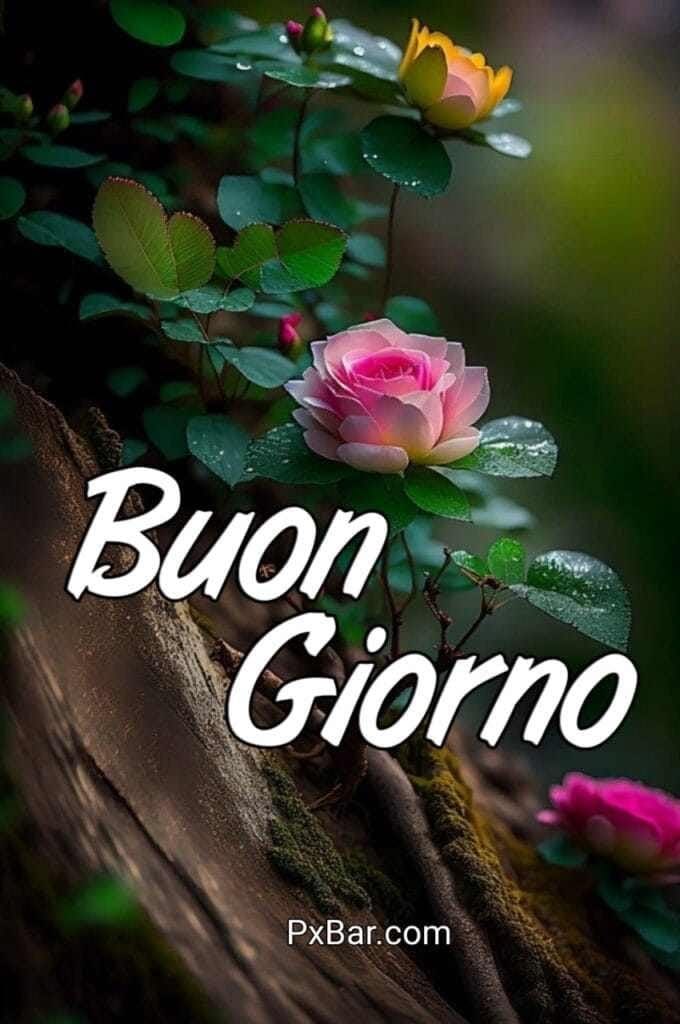 Buongiorno Immagini Nuove​ 20