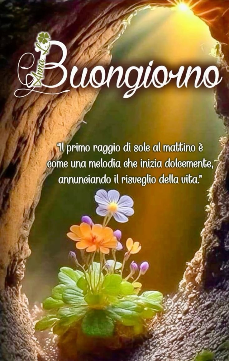Buongiorno Immagini Nuove​ 50