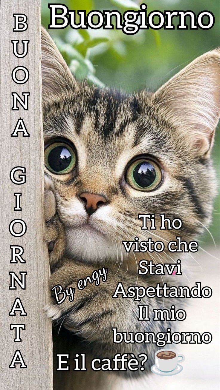 Buongiorno Immagini Nuove​ 52