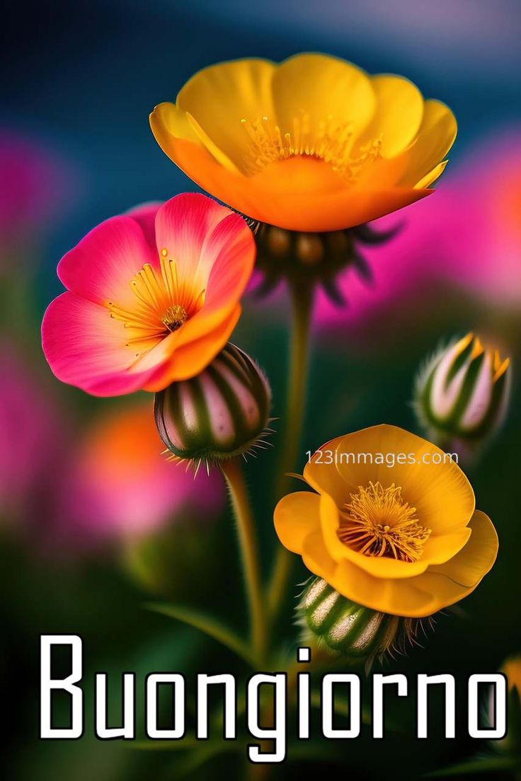 Buongiorno Immagini Nuove​ 54