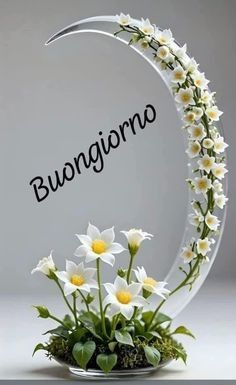 Buongiorno Immagini Nuove​ 60
