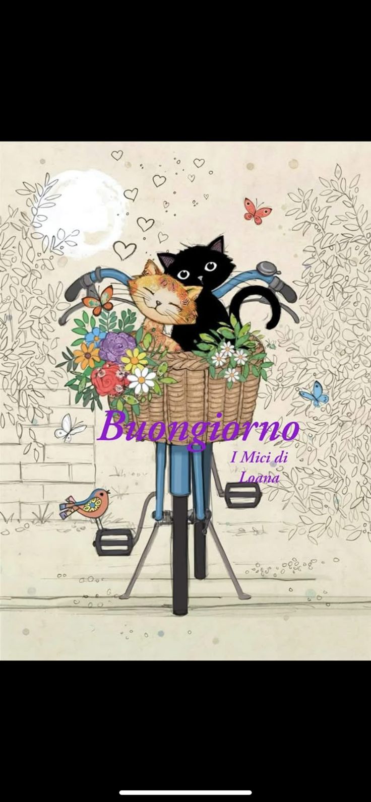 Buongiorno Immagini Nuove​ 64