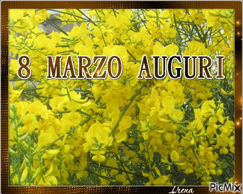 Festa Della Donna Immagini Gratis​ 11