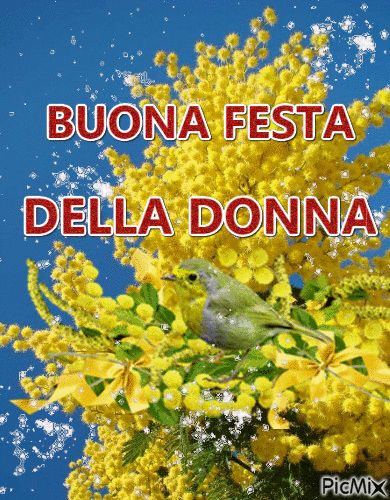Festa Della Donna Immagini Gratis​ 141