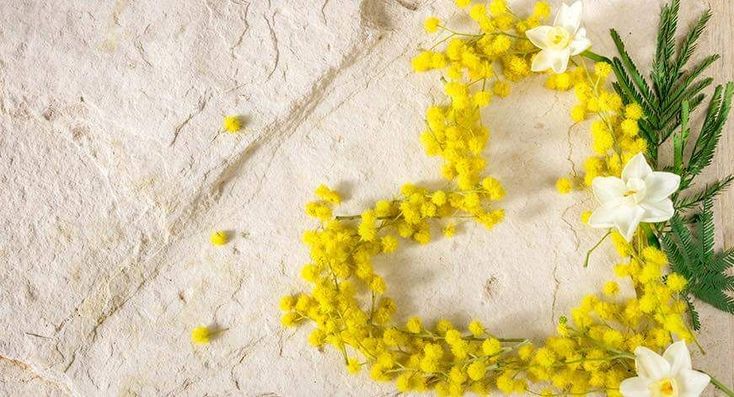 Festa Della Donna Immagini Gratis​ 20