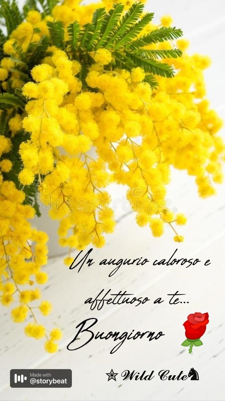 Festa Della Donna Immagini Gratis​ 57