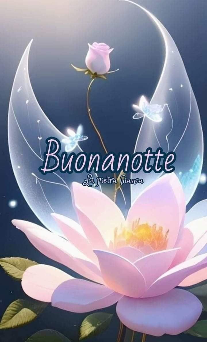 Immagine Belle Della Buonanotte​ 118
