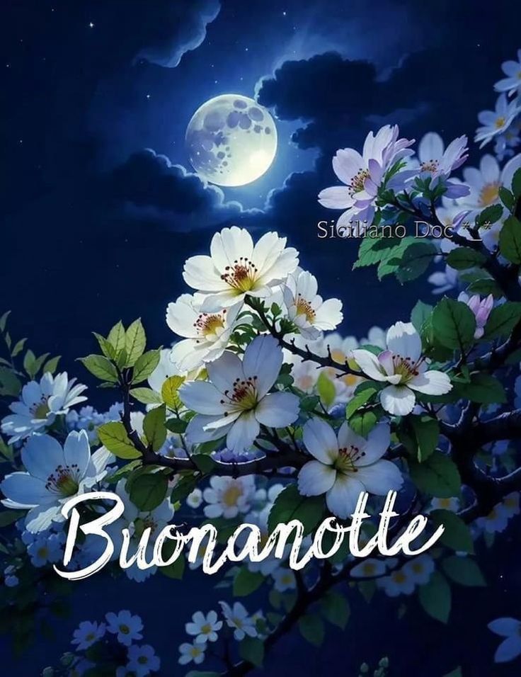 Immagine Belle Della Buonanotte​ 13