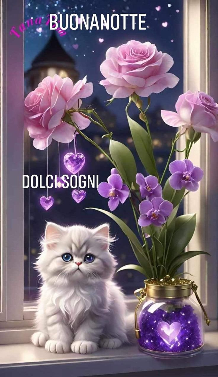 Immagine Belle Della Buonanotte​ 138