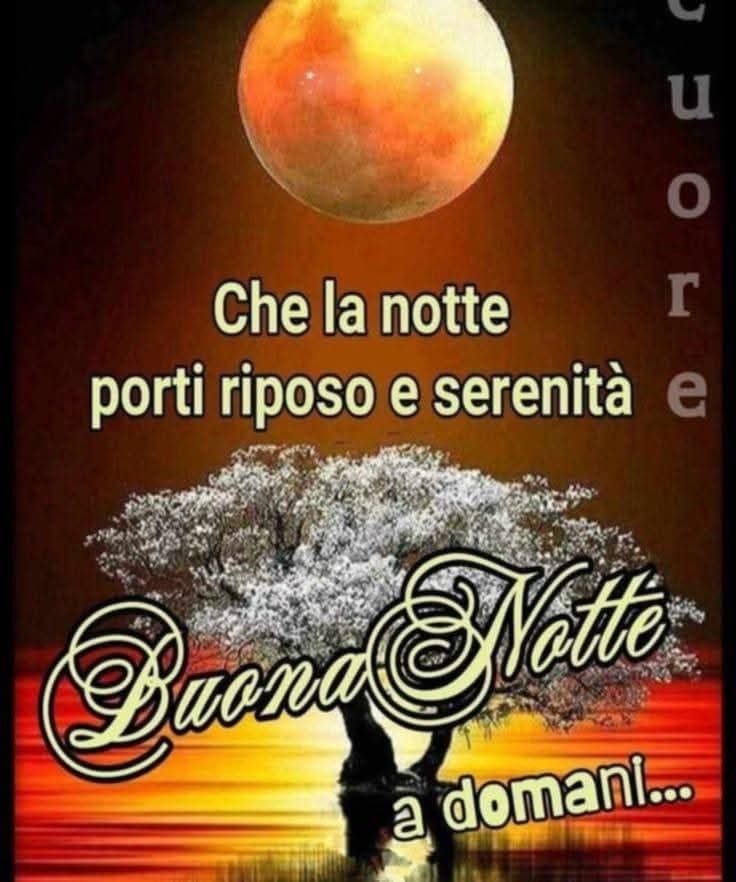 Immagine Belle Della Buonanotte​ 141