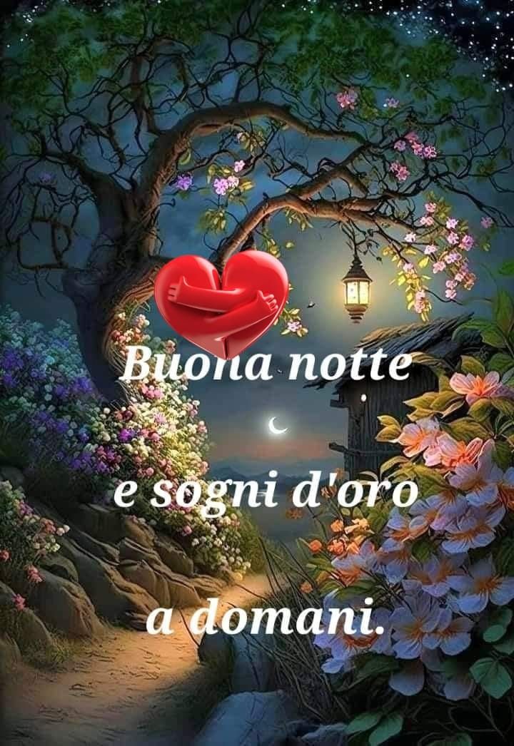 Immagine Belle Della Buonanotte​ 78