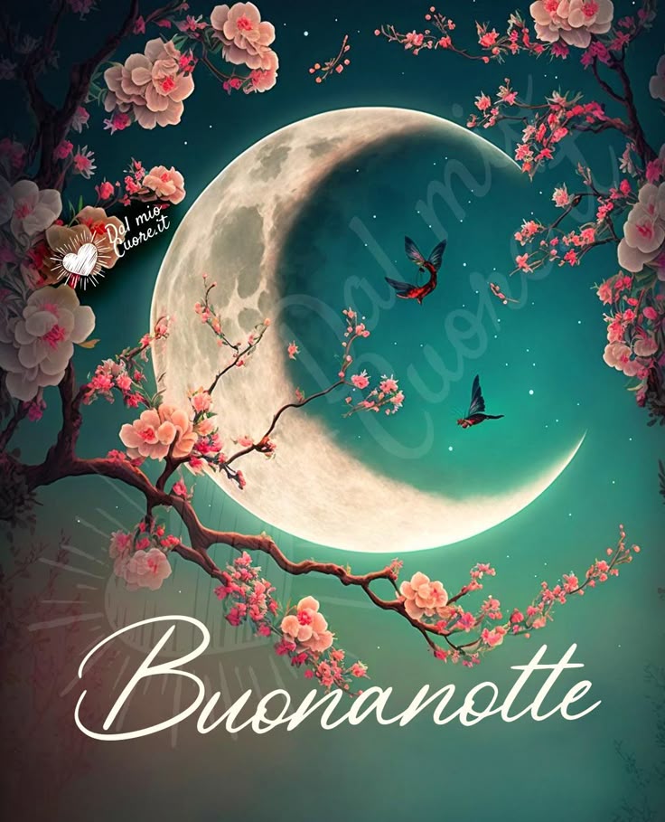 Immagine Belle Della Buonanotte​ 97