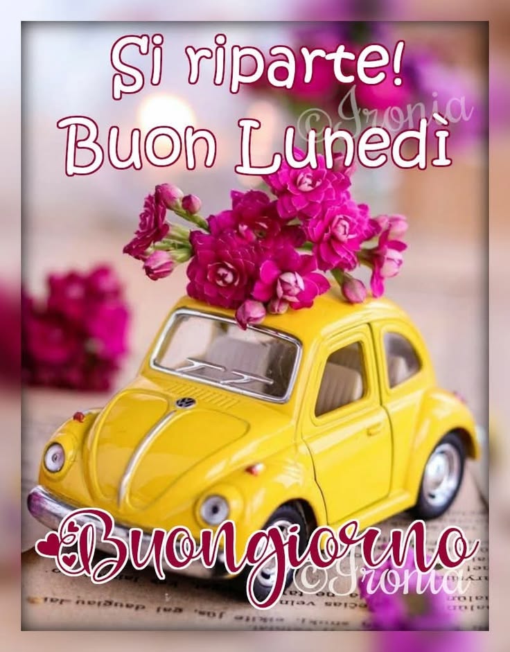 Immagini Buon Lunedi​ 105