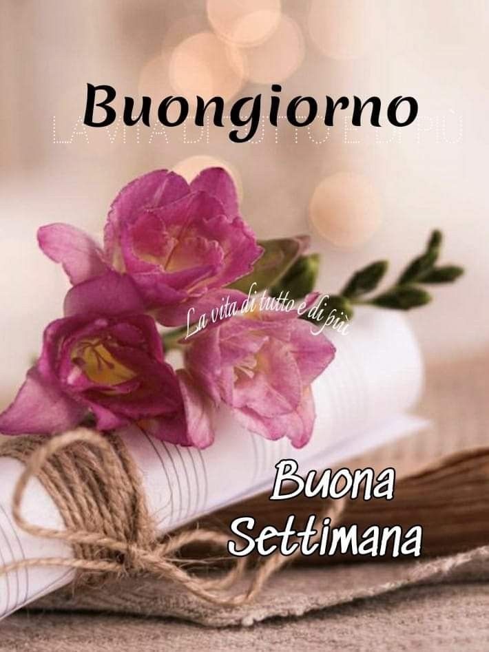 Immagini Buon Lunedi​ 133