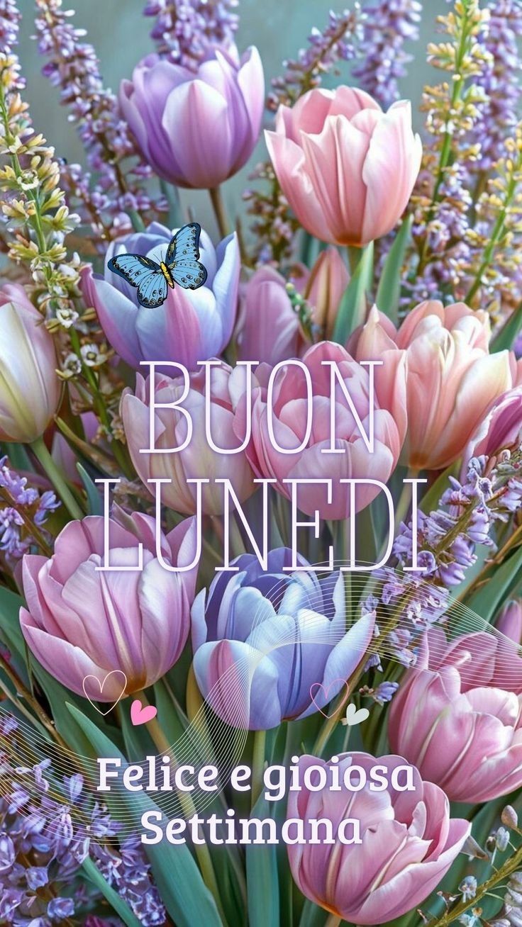 Immagini Buon Lunedi​ 136