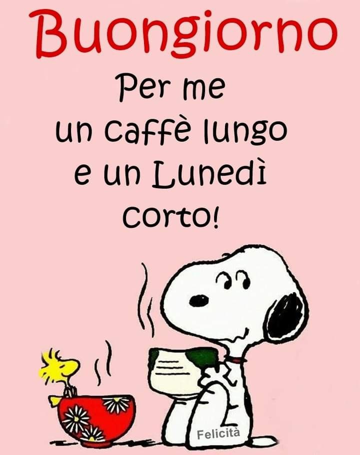 Immagini Buon Lunedi​ 19