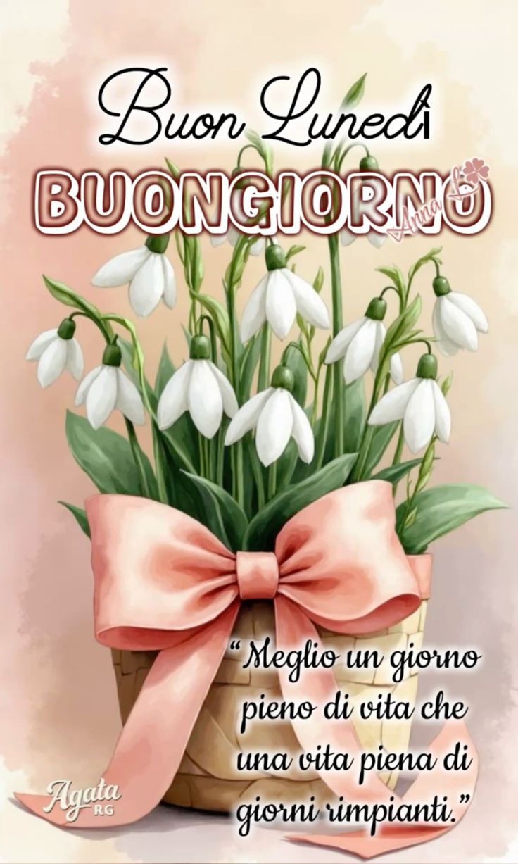 Immagini Buon Lunedi​ 41