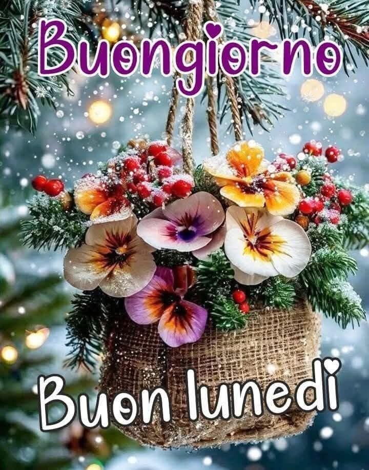 Immagini Buon Lunedi​ 61