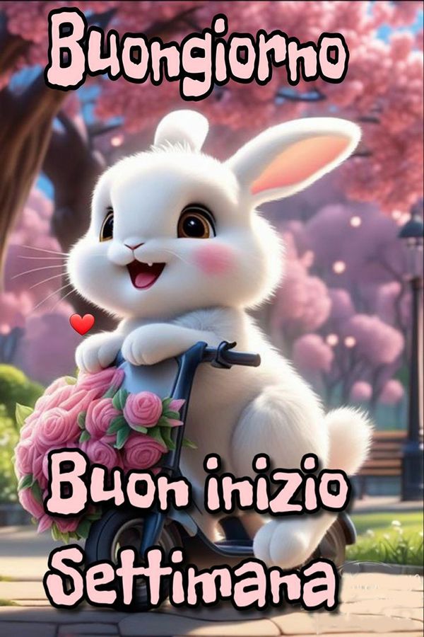 Immagini Buon Lunedi​ 70