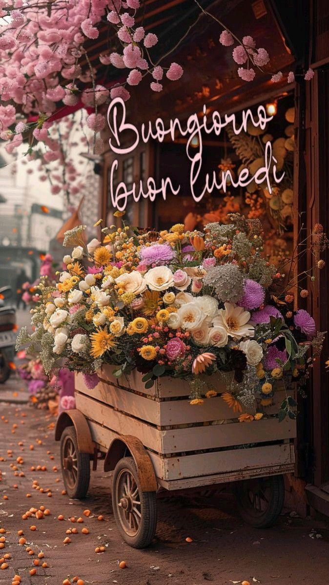 Immagini Buon Lunedi​ 71