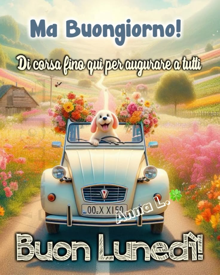 Immagini Buon Lunedi​ 89