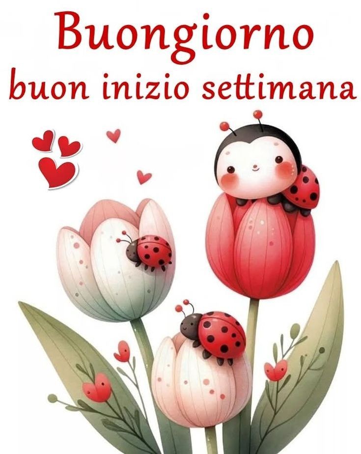 Immagini Buon Lunedi​ 92