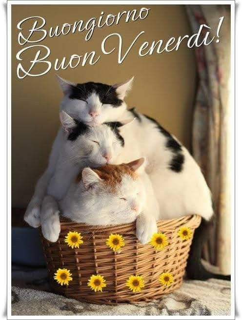 Immagini Buon Venerdi​ 117