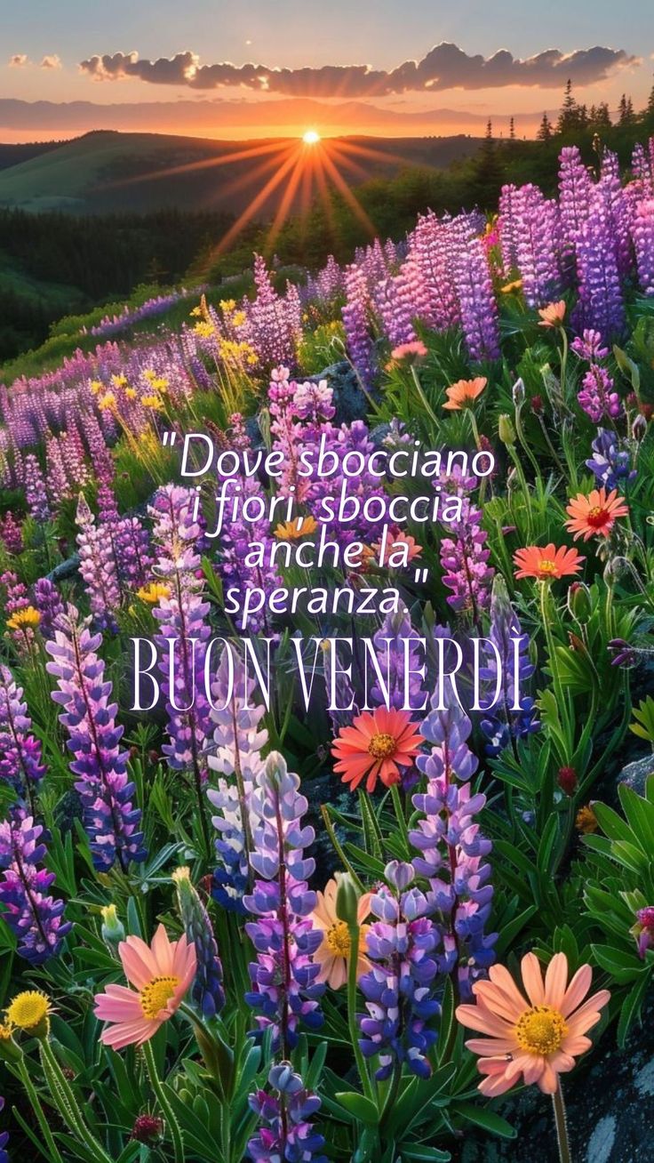 Immagini Buon Venerdi​ 124