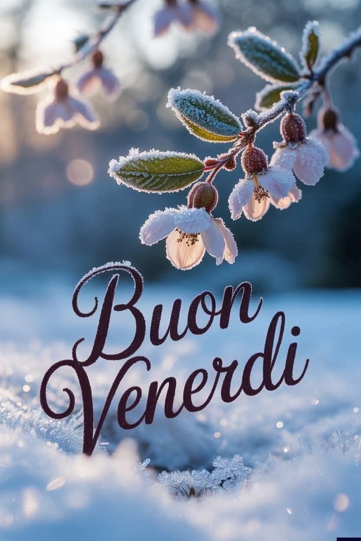 Immagini Buon Venerdi​ 141