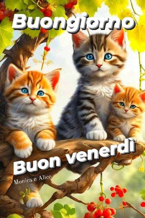 Immagini Buon Venerdi​ 28