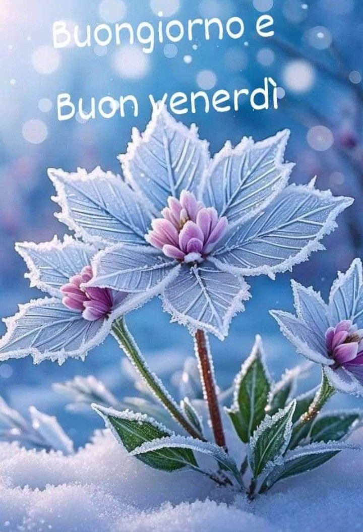 Immagini Buon Venerdi​ 49