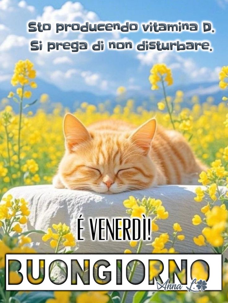 Immagini Buon Venerdi​ 59