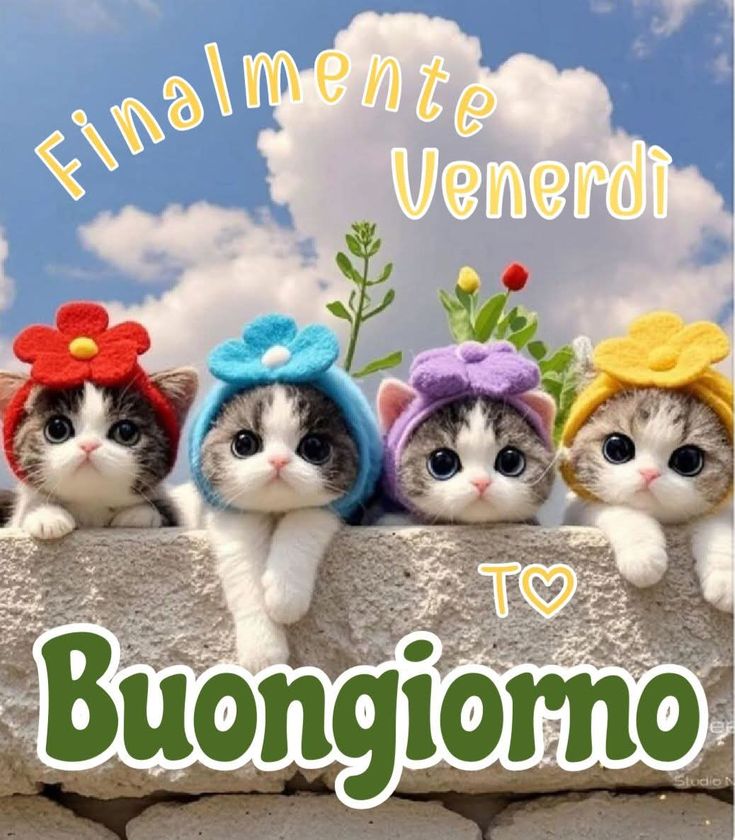 Immagini Buon Venerdi​ 63