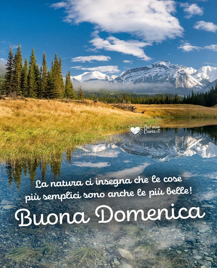 Immagini Buona Domenica​ 14