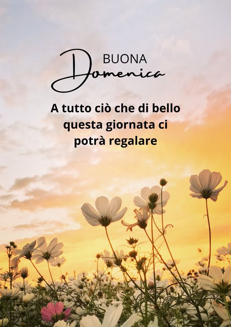Immagini Buona Domenica​ 40