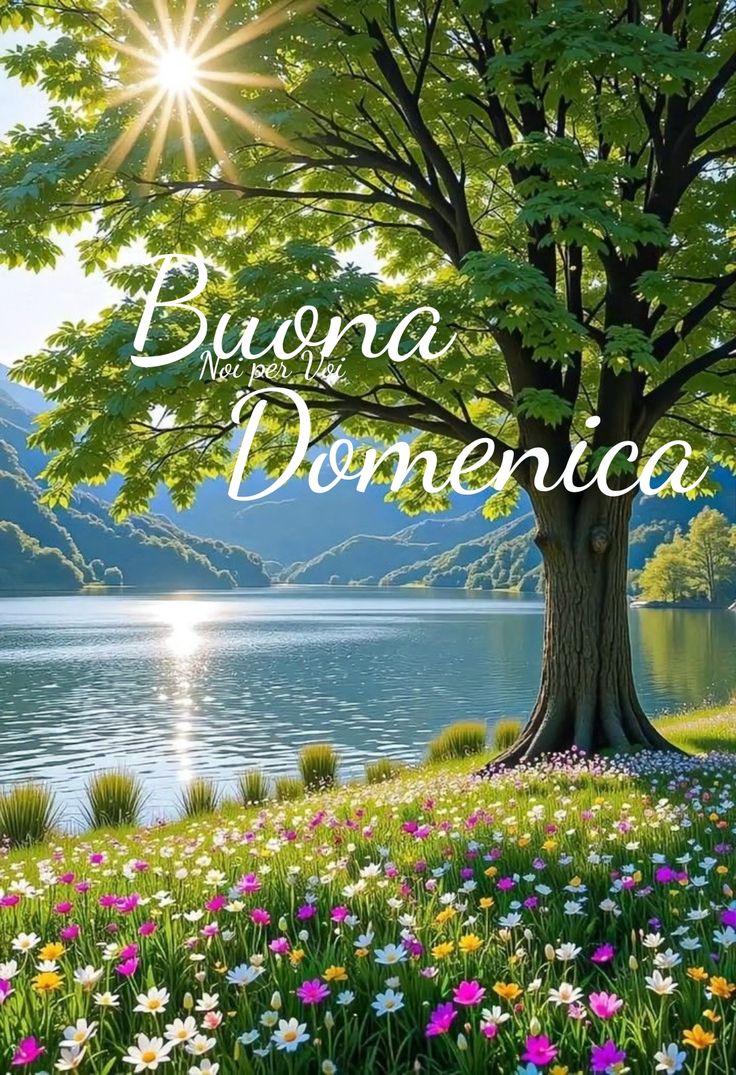 Immagini Buona Domenica​ 47