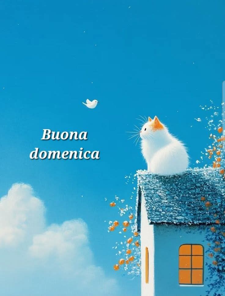 Immagini Buona Domenica​ 85