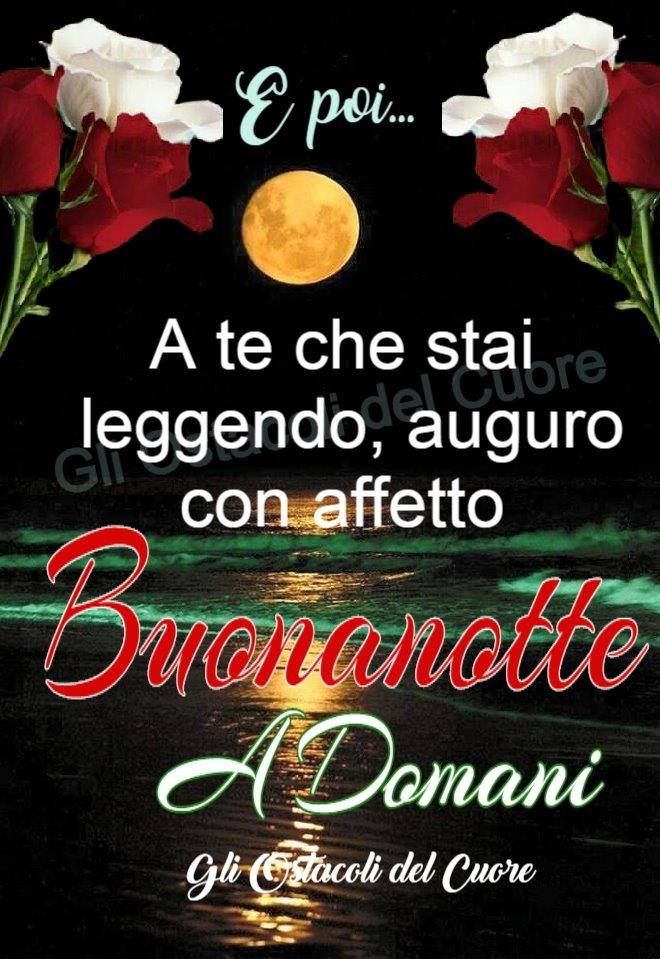 Immagini Buonanotte​ 102