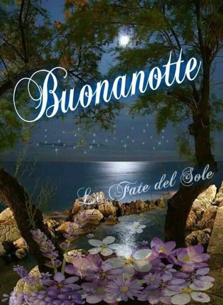 Immagini Buonanotte​ 120
