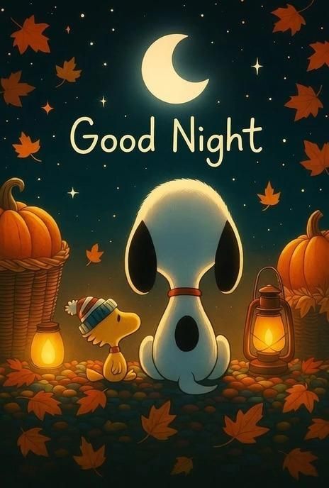 Immagini Buonanotte​ 13