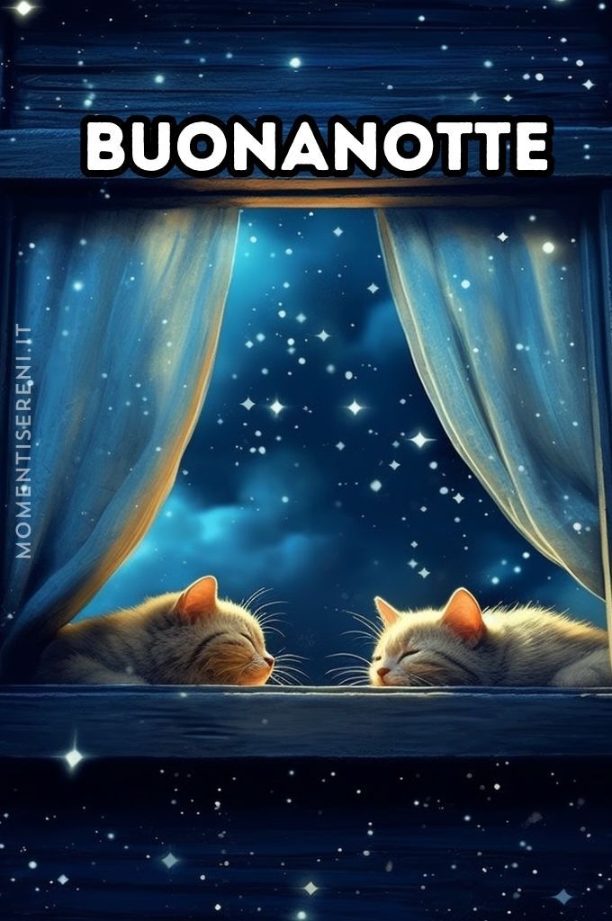 Immagini Buonanotte​ 143