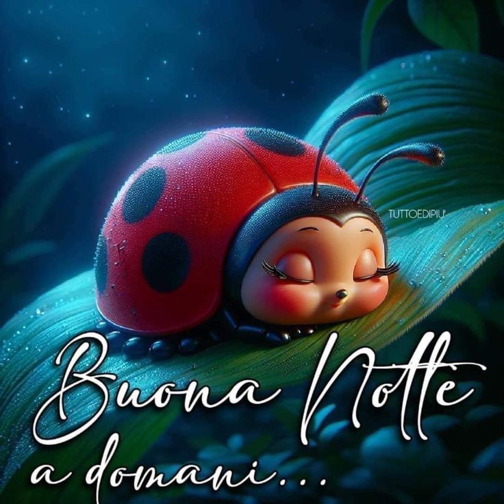 Immagini Buonanotte​ 146
