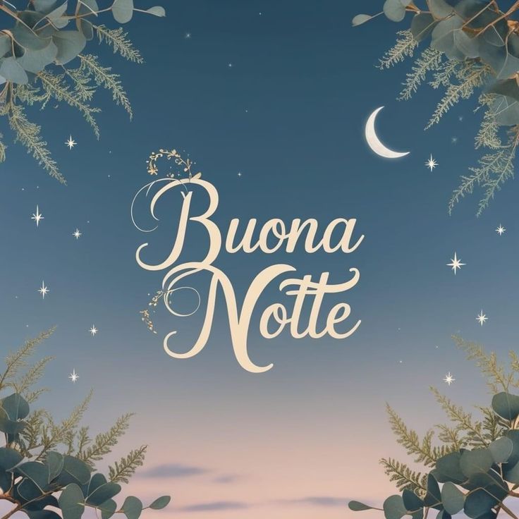 Immagini Buonanotte​ 148